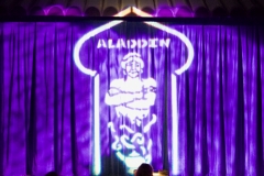 Aladin-8