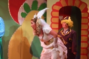 panto427